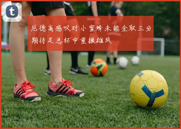 厄德高感叹对小蜜蜂未能全取三分期待足总杯中重振雄风